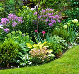 Landscaping Home Services - Innovate Group, LLC